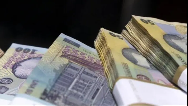 Rovana Plumb spune că de la 1 ianuarie 2015 pensiile vor fi indexate cu 5%, conform legii