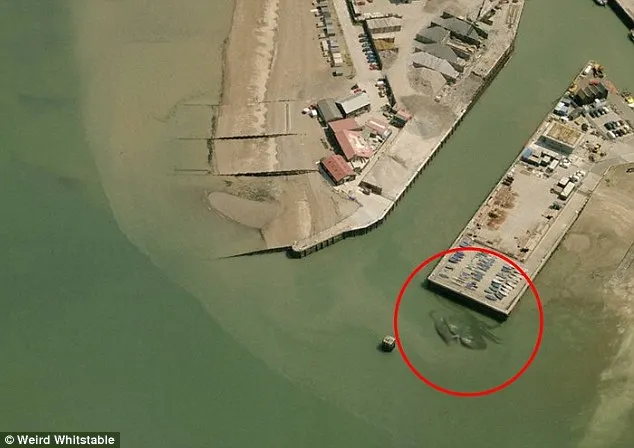 Creatură misterioasă, de 15 metri, surprinsă într-o fotografie aeriană. Ce este?