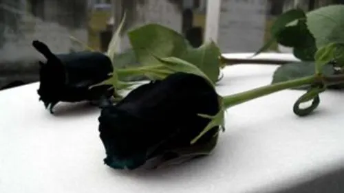 A murit! Tragedie fără margini