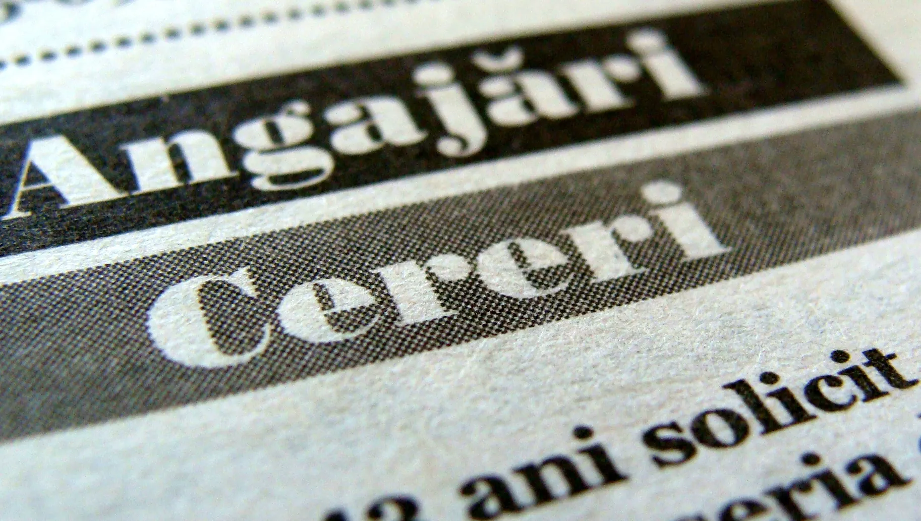 Veşti bune: se fac angajări în toată ţara. Posturile pe care RCS&RDS le scoate la concurs