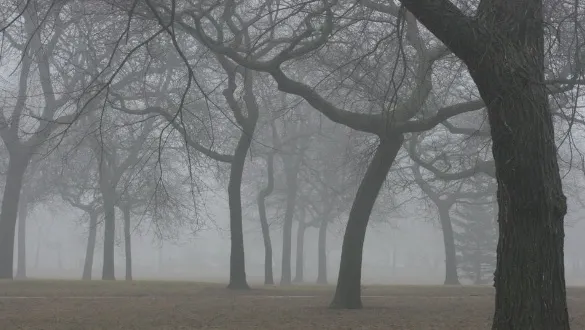 La munte va ploua! PROGNOZA METEO pe trei zile 
