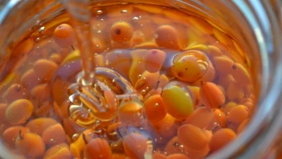 Amestecul de miere cu catină, un preparat fabulos pentru organism