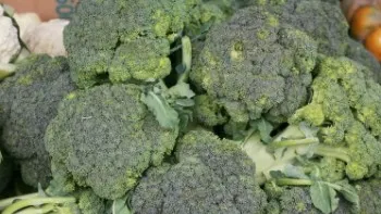 Puterea uluitoare din broccoli. De ce este un superaliment pentru viaţa ta