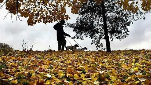 VREMEA în București și în țară. Prognoza meteo pentru luni şi marţi