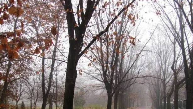 Surpriză uriașă din partea VREMII! PROGNOZA METEO pe TREI ZILE 