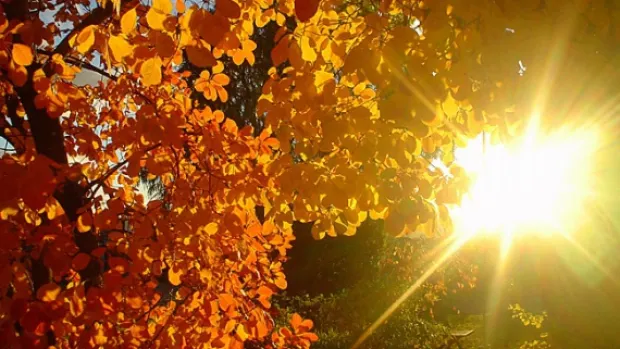 SURPRIZE de la meteorologi. PROGNOZA PE DOUĂ ZILE
