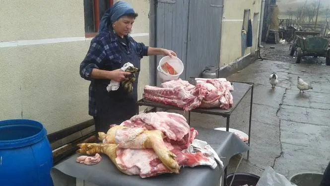 TRADIȚII BIZARE DE IGNAT: preoţii romani ghiceau viitorul în măruntaiele porcului