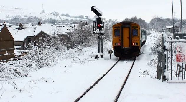 TREN BLOCAT între Sinaia şi Comarnic, după ce un copac a căzut pe liniile electrice