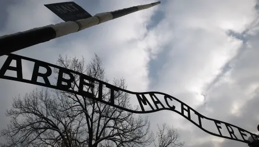 O supravieţuitoare a Holocaustului de origine română l-a adoptat pe nepotul unui comandant nazist