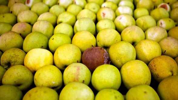 Organisme modificate genetic. Decizie istorică ce poate duce la răspândirea lor în UE