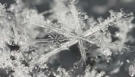Prognoza METEO: Gerul se întoarce. Temperaturi de până la minus 25 de grade