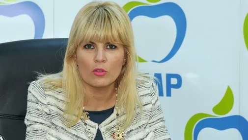 Tudor Breazu, un apropiat al Elenei Udrea, reținut pentru 24 de ore în dosarul Gala Bute 