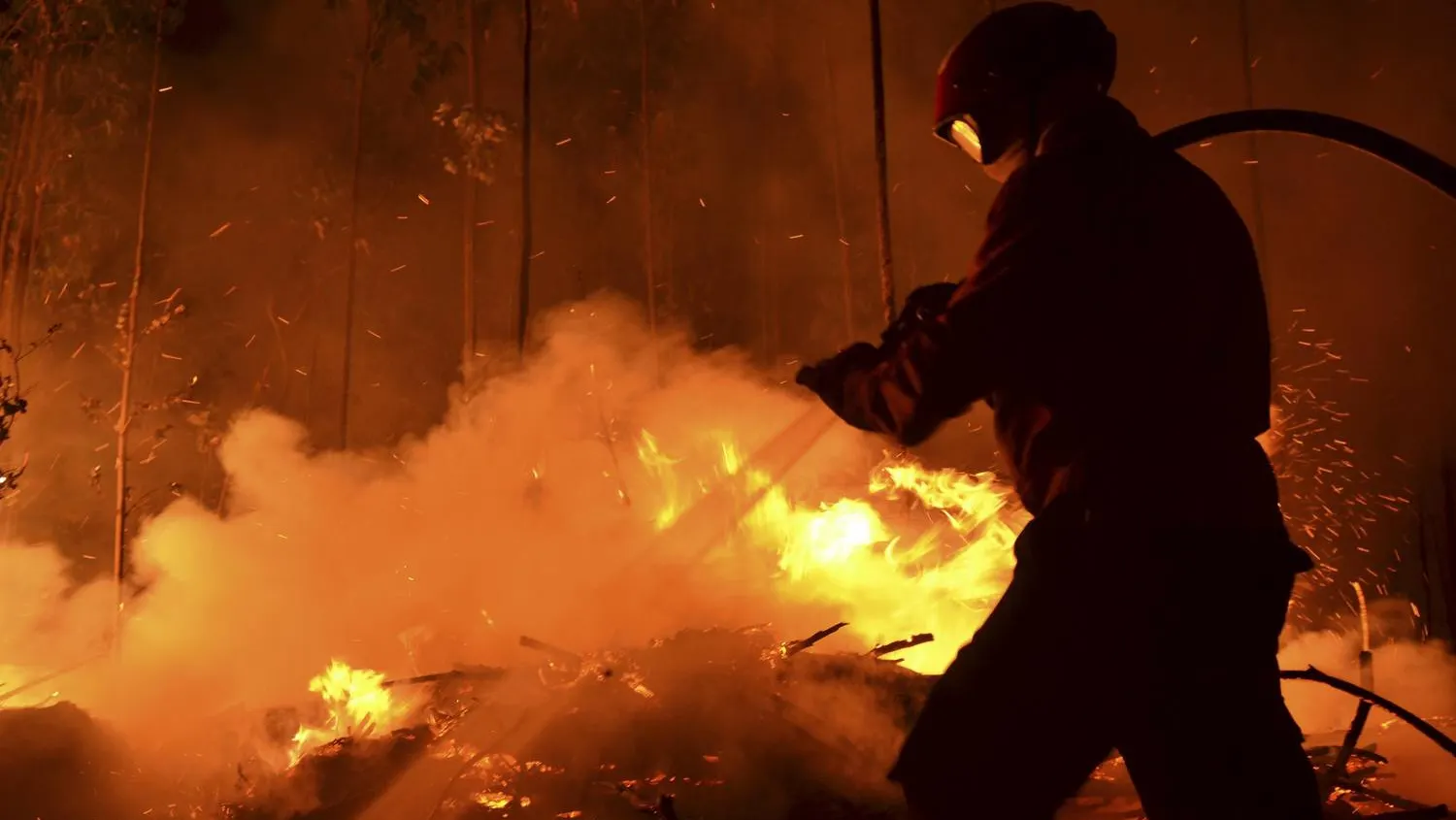 Incendiu în Capitală: Un bărbat de 70 de ani a murit