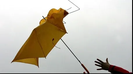 Nowcasting. Avertizare cod galben de vânt, inclusiv în Bucureşti