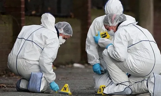 "Şoseaua Morţii". Locul în care au murit cei mai mulţi oameni în Timiş