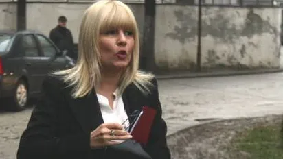 Avocatul Elenei Udrea: Vom cere înlocuirea arestului preventiv cu o altă măsură