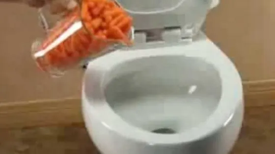 A aruncat un kg de morcovi în toaletă. Ce s-a întâmplat? N-ai mai văzut în viaţa ta aşa ceva