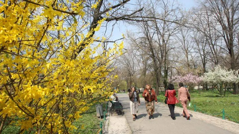 Puţină căldură, urmată de răcirea vremii. Prognoza meteo pentru început de săptămână