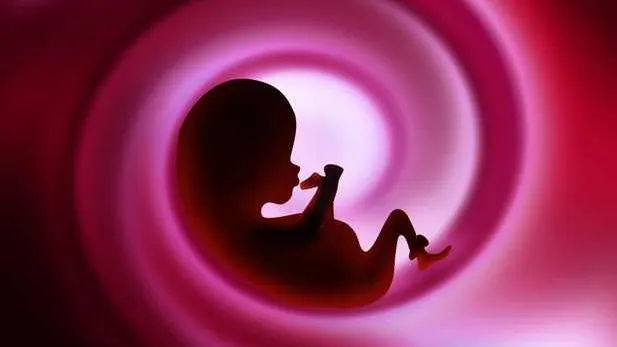 Una dintre cele mai vechi teorii a fost demontată de oamenii de ştiinţă