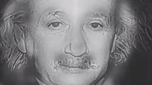 Iluzie optică. Marilyn Monroe sau Albert Einstein? Pe cine vezi când priveşti imaginea?