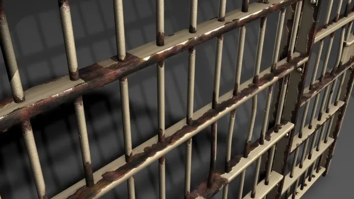 Poliţia, în stare de alertă: un deţinut a evadat de la Colibaşi