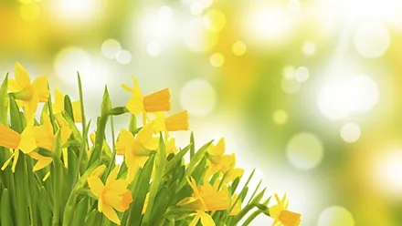 FLORII. 10 superstitii de Florii şi semnificaţia lor
