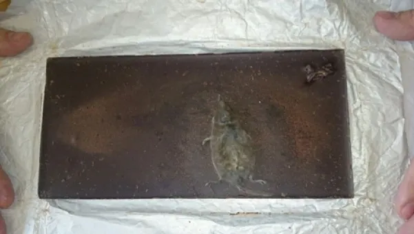 Şi-a cumpărat o ciocolată şi a rămas cu gura căscată când a desfăcut-o