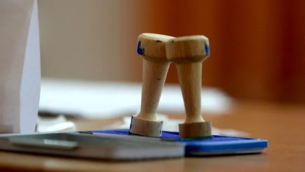 Care au fost sumele confiscate de AEP de la partide, anul trecut