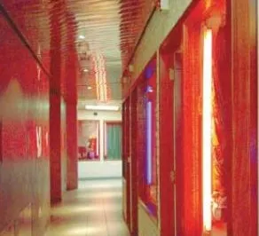 O angajată a Băncii Naţionale din Olanda, prostituată în timpul liber