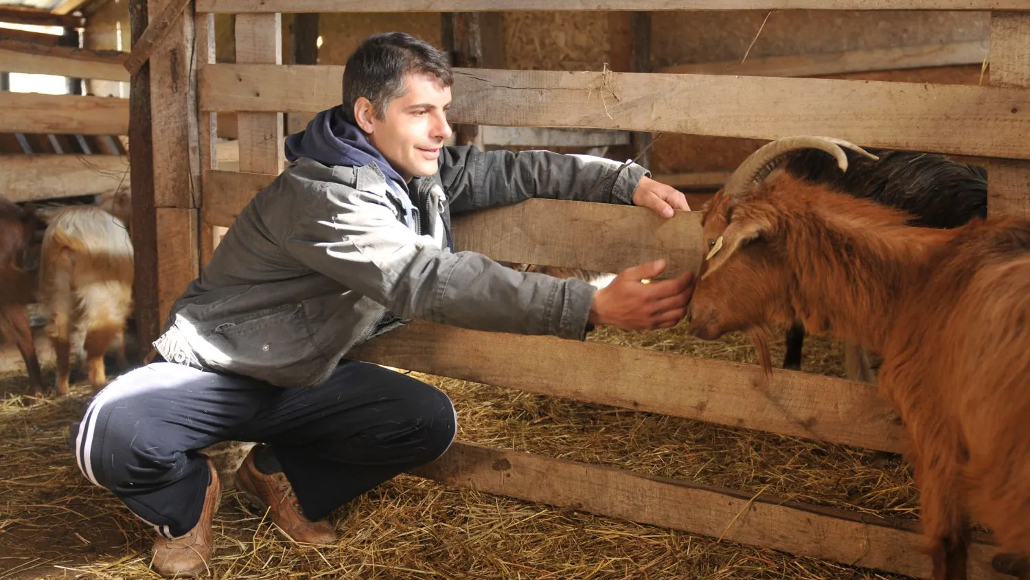 Revoluția oamenilor care vor să schimbe fața satului românesc