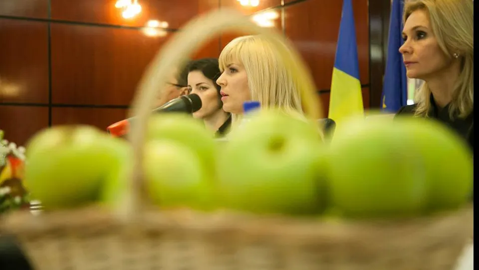 Elena Udrea, nou dosar pentru un credit de 3 milioane de euro