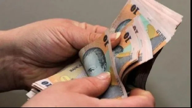 Veste importantă de la Guvern despre alocațiile românilor