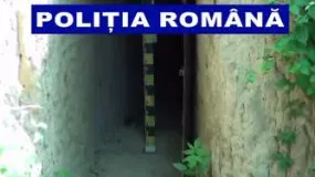 braconaj harghita