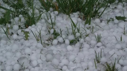 Grindină cât oul de porumbel, în Timiş. Efectele sunt devastatoare