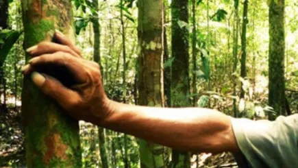 Ecologişti, atacaţi cu bolovani în munţi de un grup de necunoscuţi