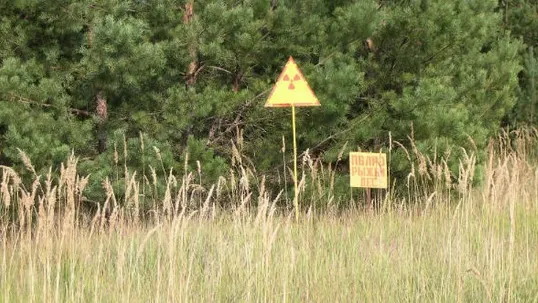 Povestea de groază a fetei care s-a spânzurat în pădure la Beliu