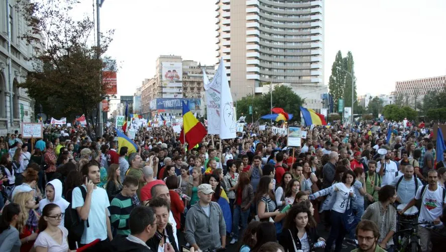 Mii de oameni au ieşit în stradă, în toată ţara, contra defrişărilor pădurilor