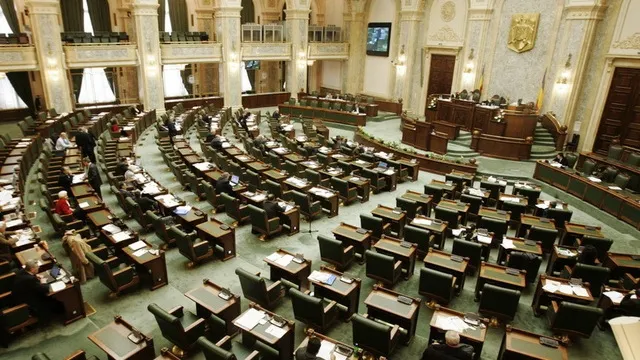 Senatul respinge moțiunea PNL prin care se cerea demisia Rovanei Plumb, pe tema alocației copiilor