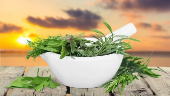 Plante care scad tensiunea arterială