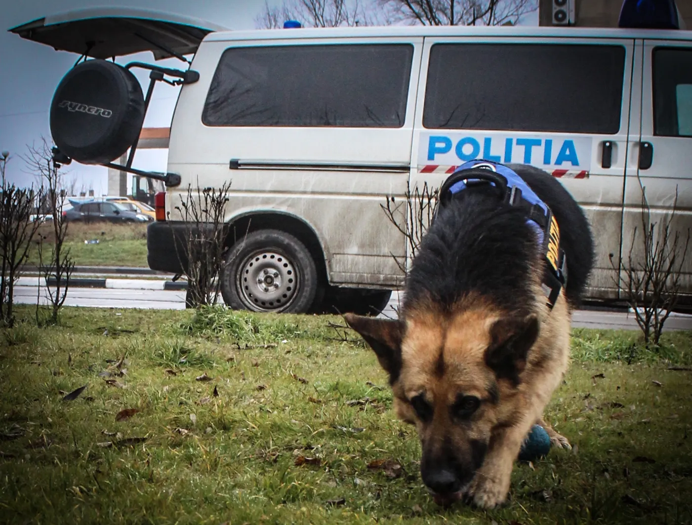Unde a fost găsit un copil de doi ani şi opt luni din Buzău, care a fugit de acasă