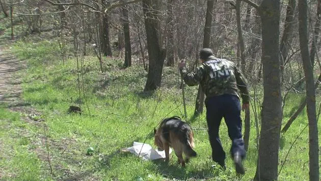 Un copil de 2 ani și 9 luni a dispărut. Era în vizită la bunica lui UPDATE