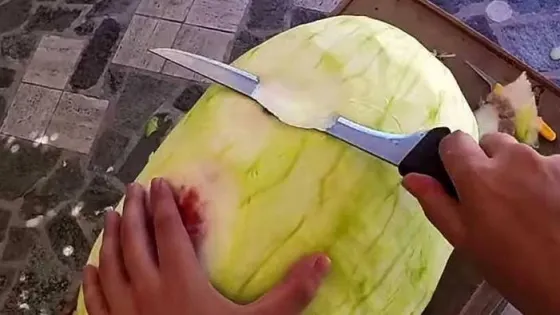 A luat un pepene şi a început să îi taie coaja! E incredibil ce a reuşit să facă din el