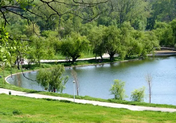 Consilierul lui Oprescu își negocia mita într-un parc din București.Ce a scris pe un post-it