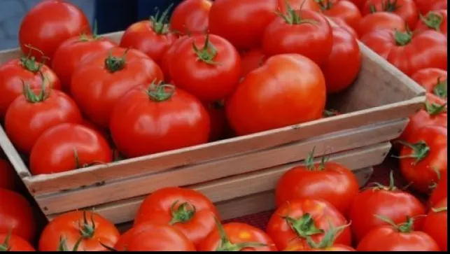 Cum ne dăm seama dacă roşiile din piaţă au gust bun şi aromă