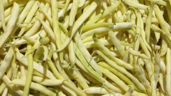 Miraculosul ceai din teci de fasole. Curăţă organismul de toxine