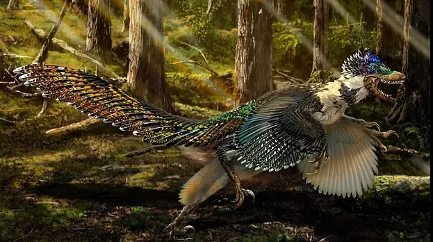 Au descoperit un dinozaur cu pene şi cinci picioare. Iată cum arată