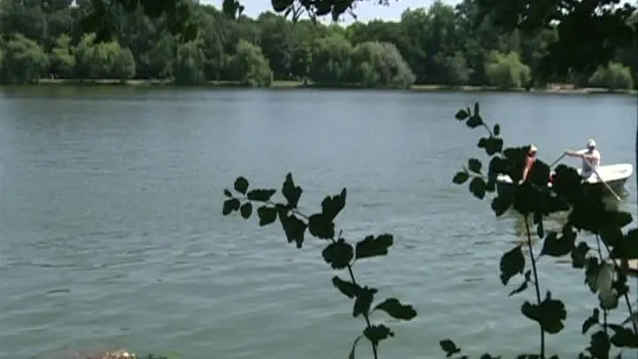 Fenomen șocant pe lacul Herăstrău, în Capitală. Ce au văzut bucureștenii în ultimele zile
