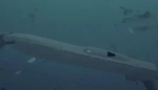 Un fragment de avion găsit pe o plajă a Insulei Reunion ar putea fi al cursei malaysiene dispărute