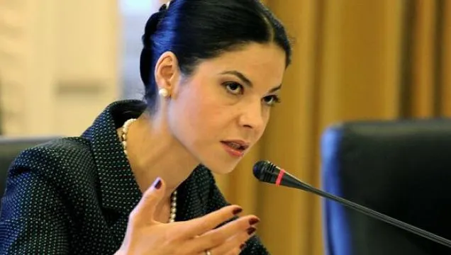 Ana Birchall: Codul Fiscal trebuie să iasă din această bătălie politică. E necesar pentru România 
