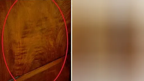 A simţit o prezenţă stranie în cameră şi a privit mai atent. Ce a văzut i-a schimbat viaţa